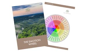 Emma Gerasimatos - The emotion wheel Mockup A preview of the document, "The Emotion Wheel"